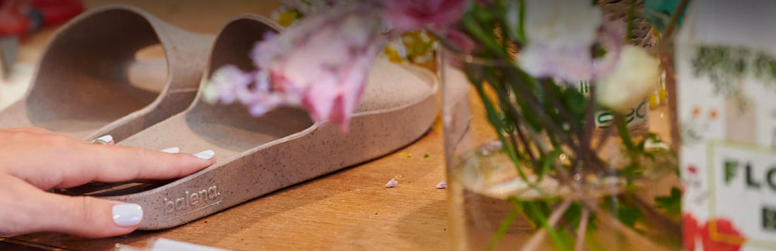 BioCir Slides: The Full Story