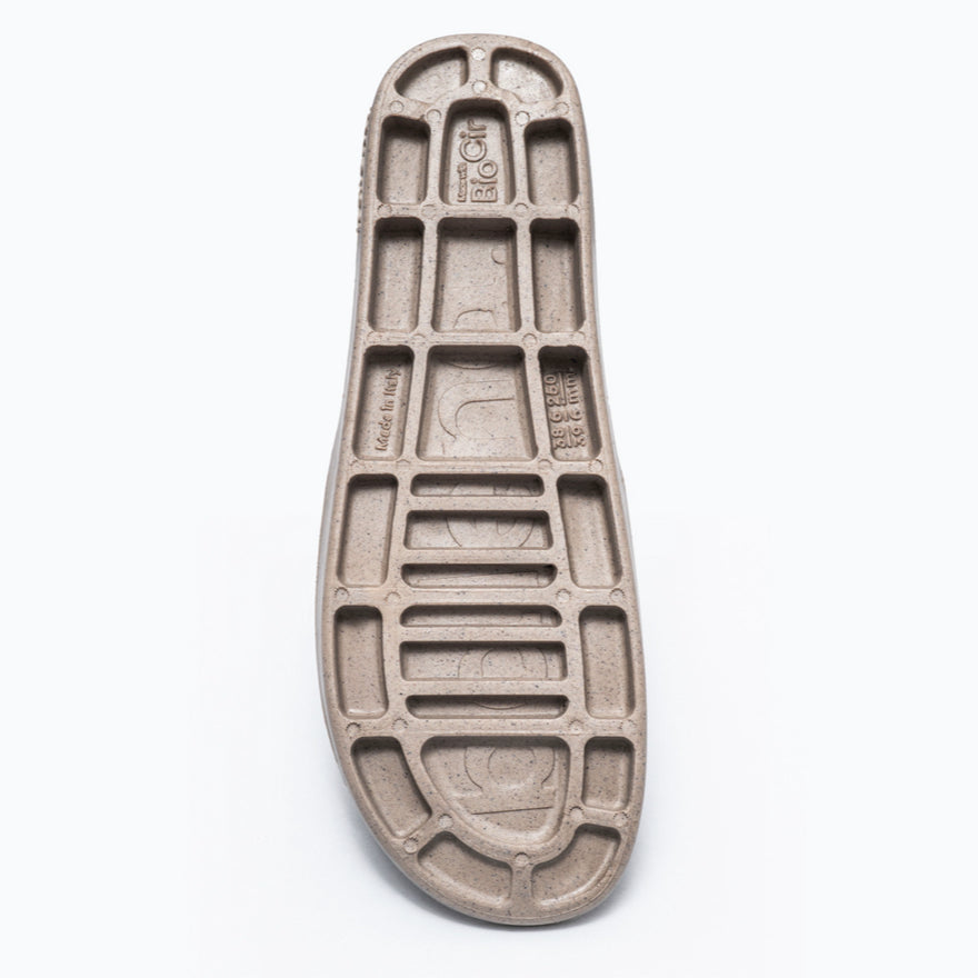 BioCir Slides